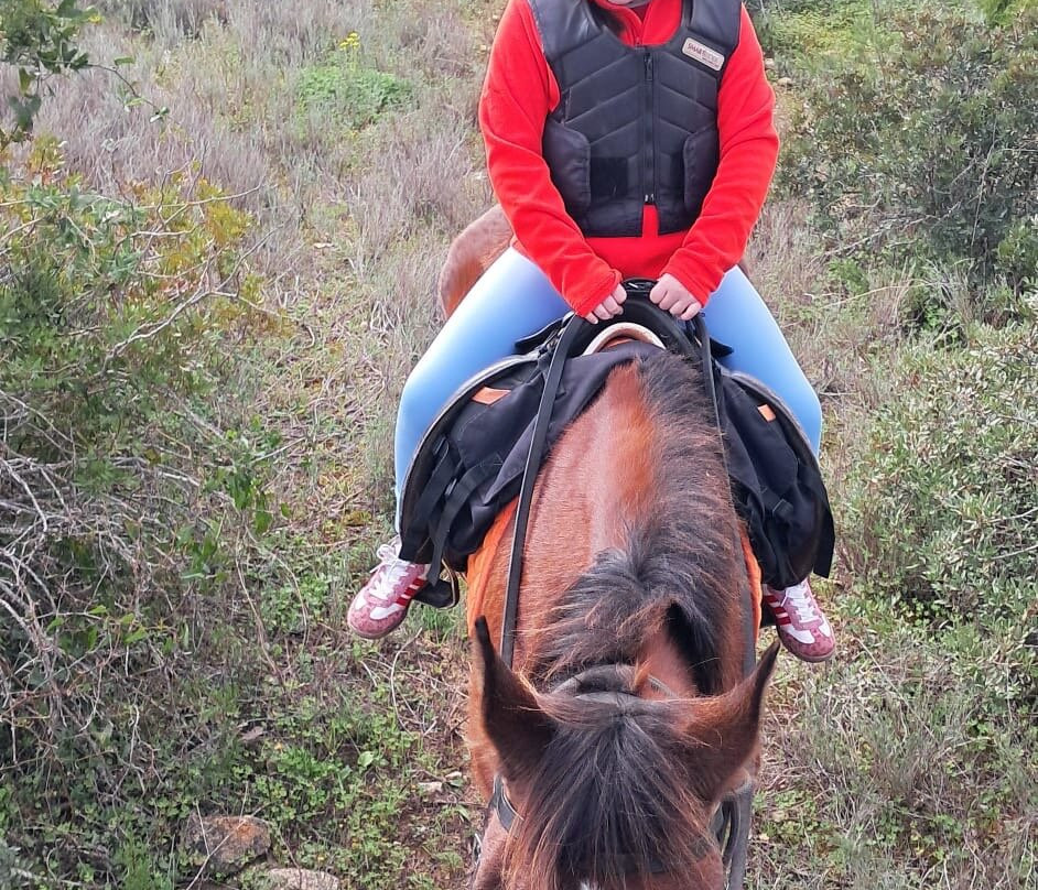 Solid Rocks Algarve Horse Trail Adventures景点图片