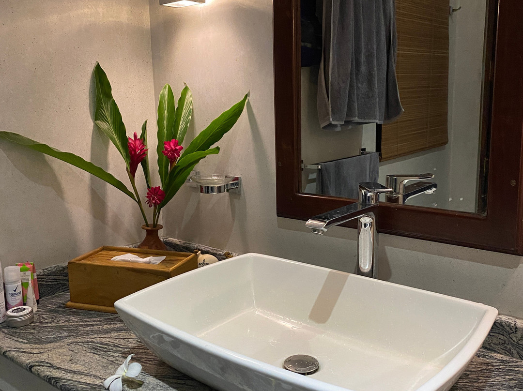 尼娅伽玛屋酒店主图