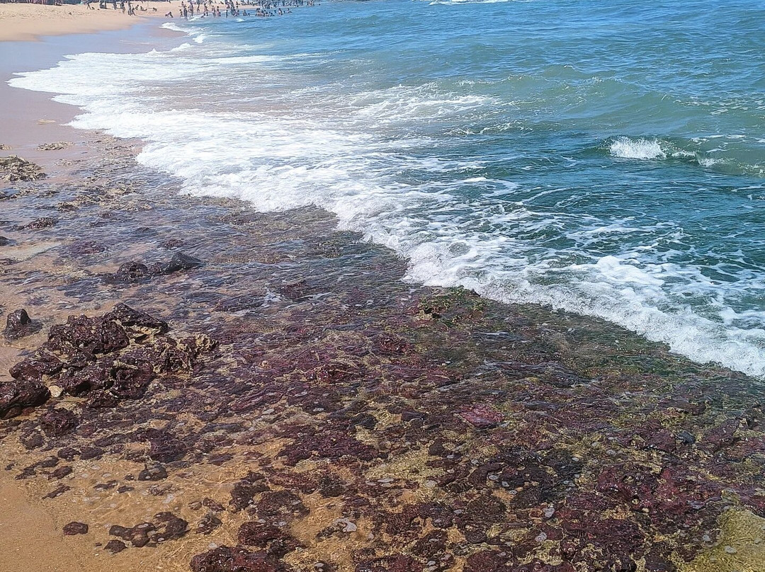 Praia dos Recifes景点图片