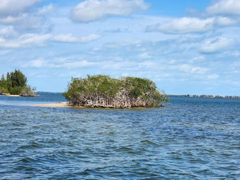 FAU Harbor Branch Oceanographic Institute-匹尔斯堡必去景点
