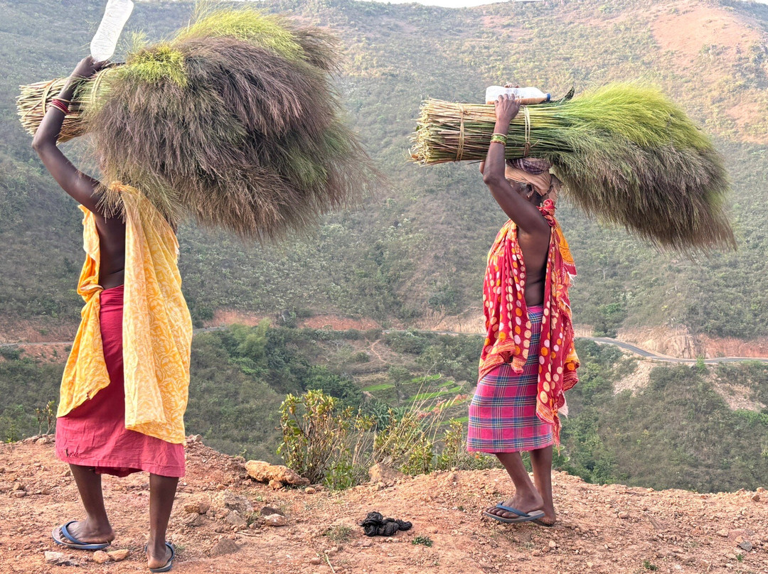 Chandoori Sai Guest House主图