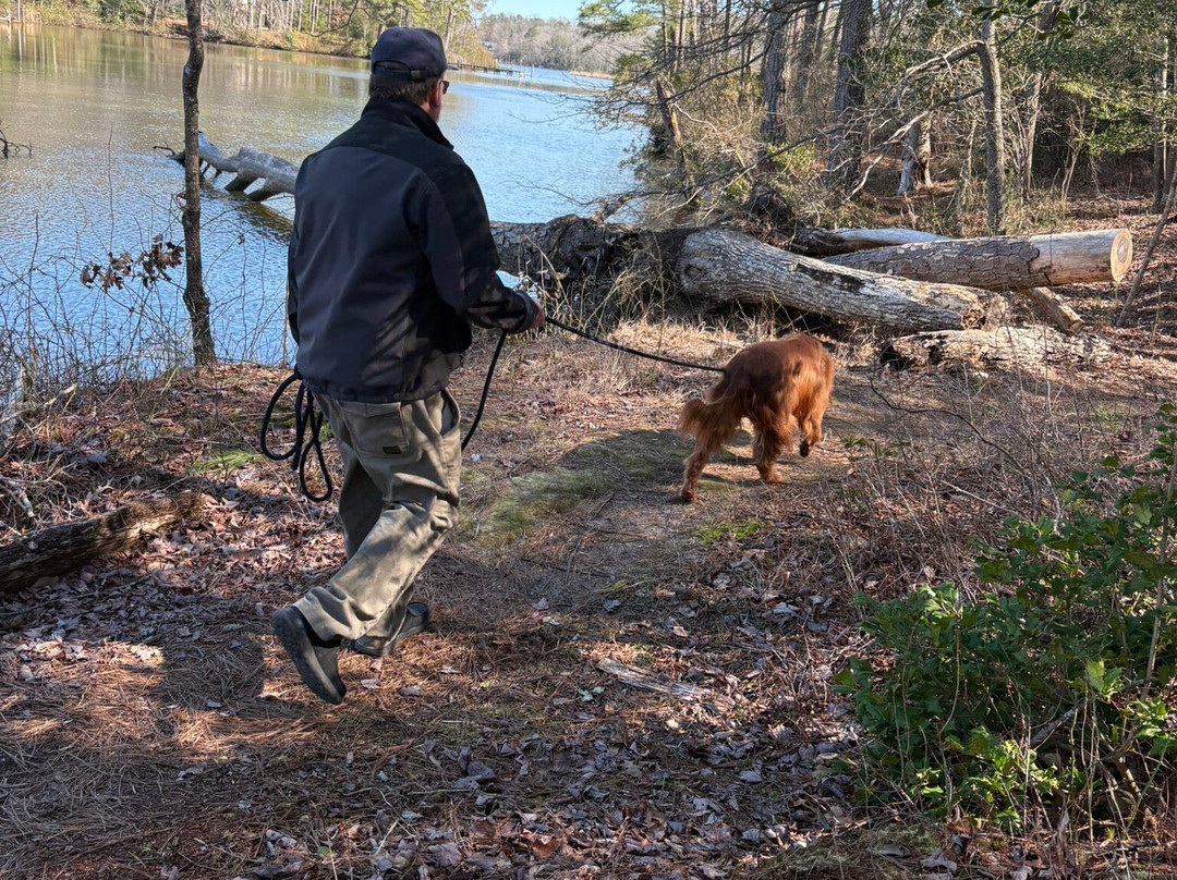 Bush Mill Stream Natural Area Preserve-Heathsville必去景点