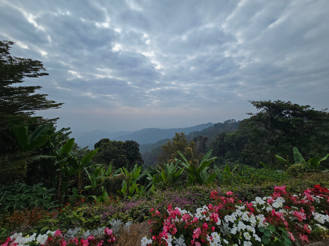Doi Tung Palace-清莱必去景点