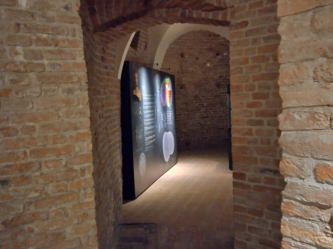 Musei Di Palazzo Farnese景点图片