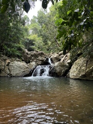 Srilankan Experience Zone景点图片