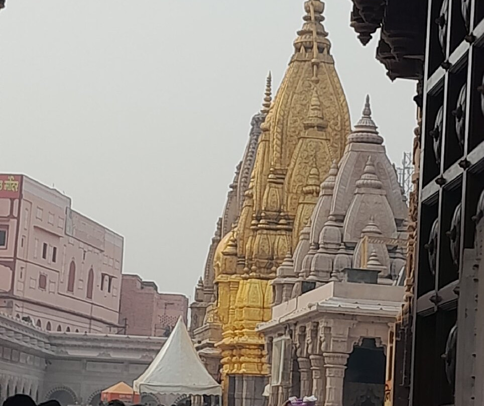 Shri Kashi Vishwanath Temple (Golden Temple)景点图片
