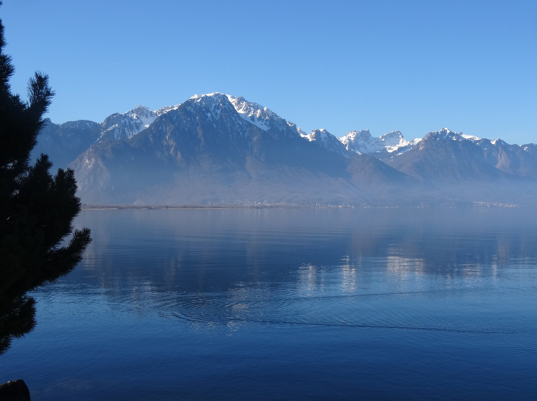 Hôtel de la Rouvenaz主图