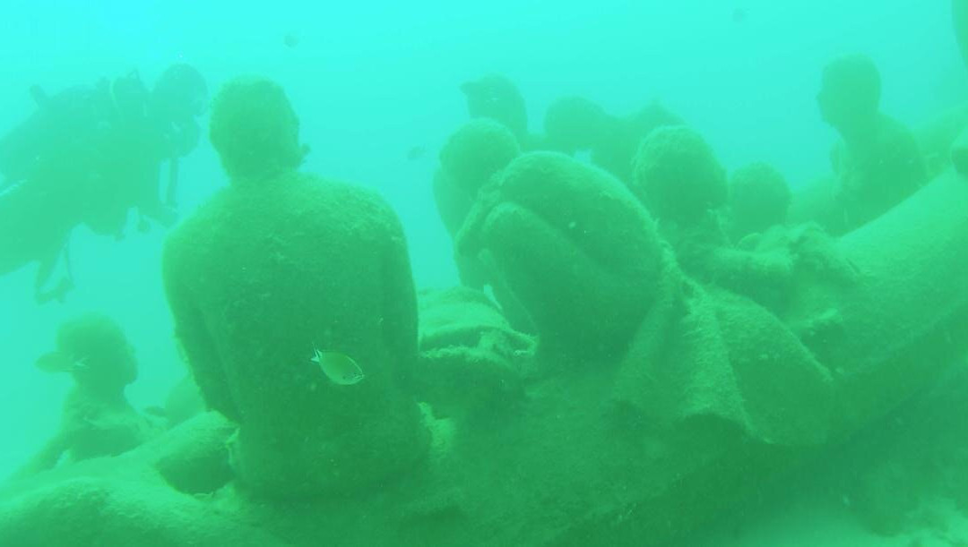 Pura Vida Diving景点图片