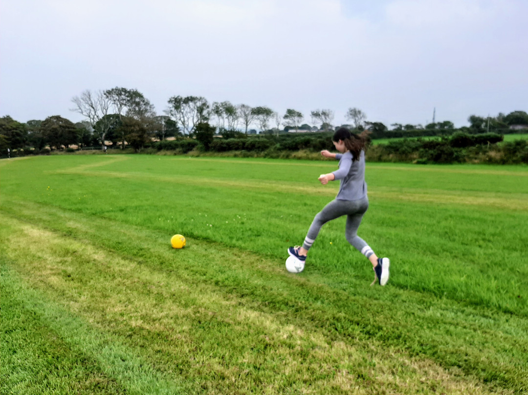 Trenewydd Farm Footgolf-St. Dogmaels必去景点