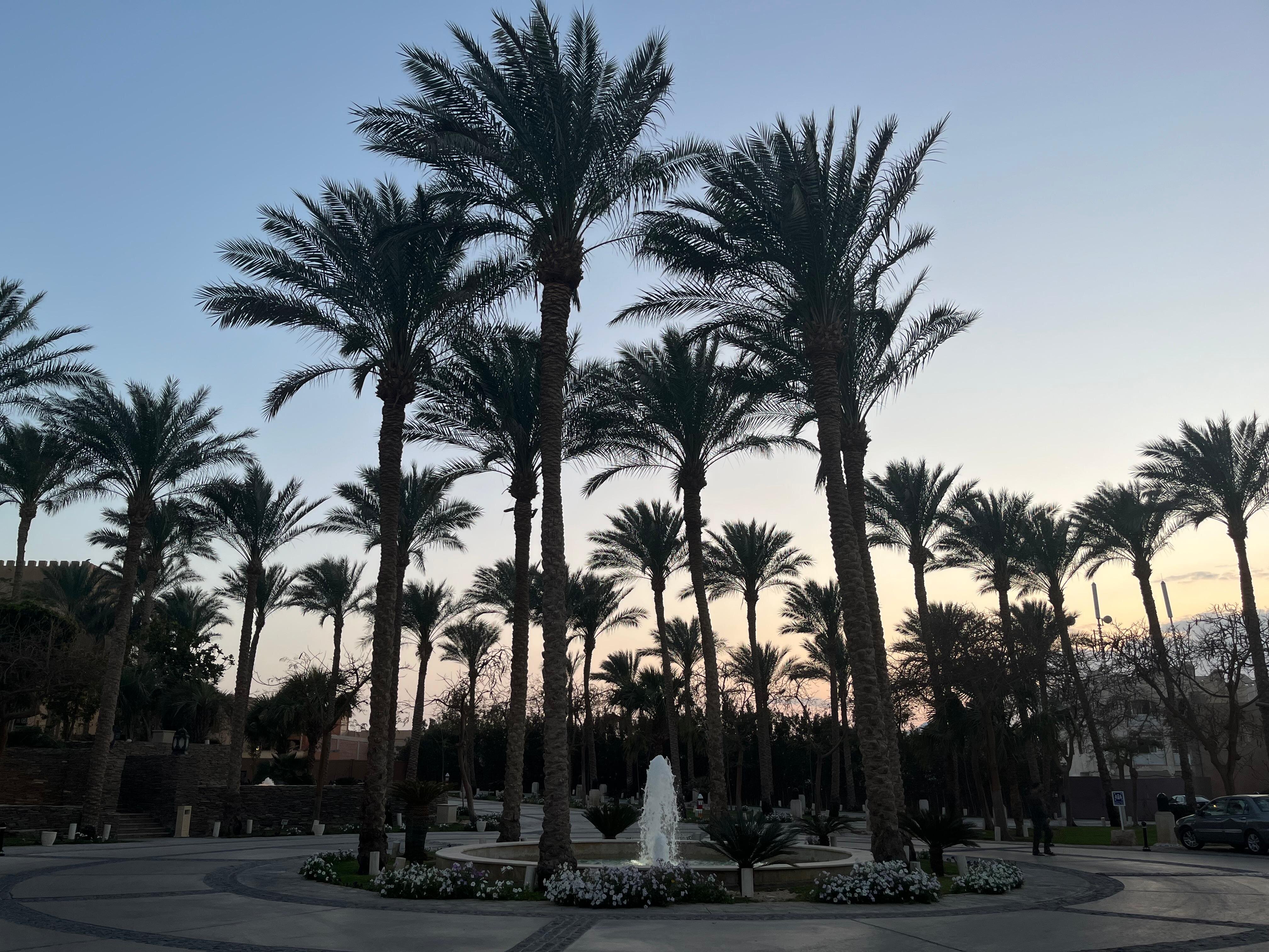 The Makadi Spa Hotel-浴室