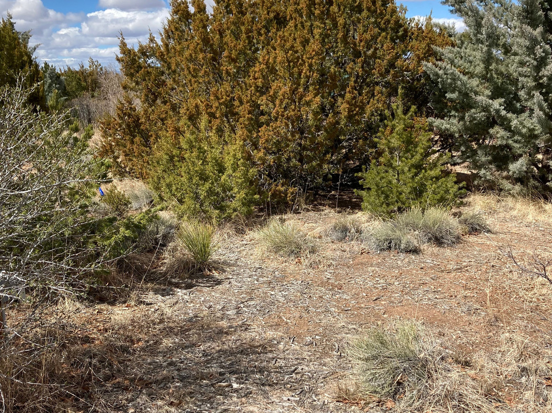 Santa Fe Botanical Garden-圣菲必去景点