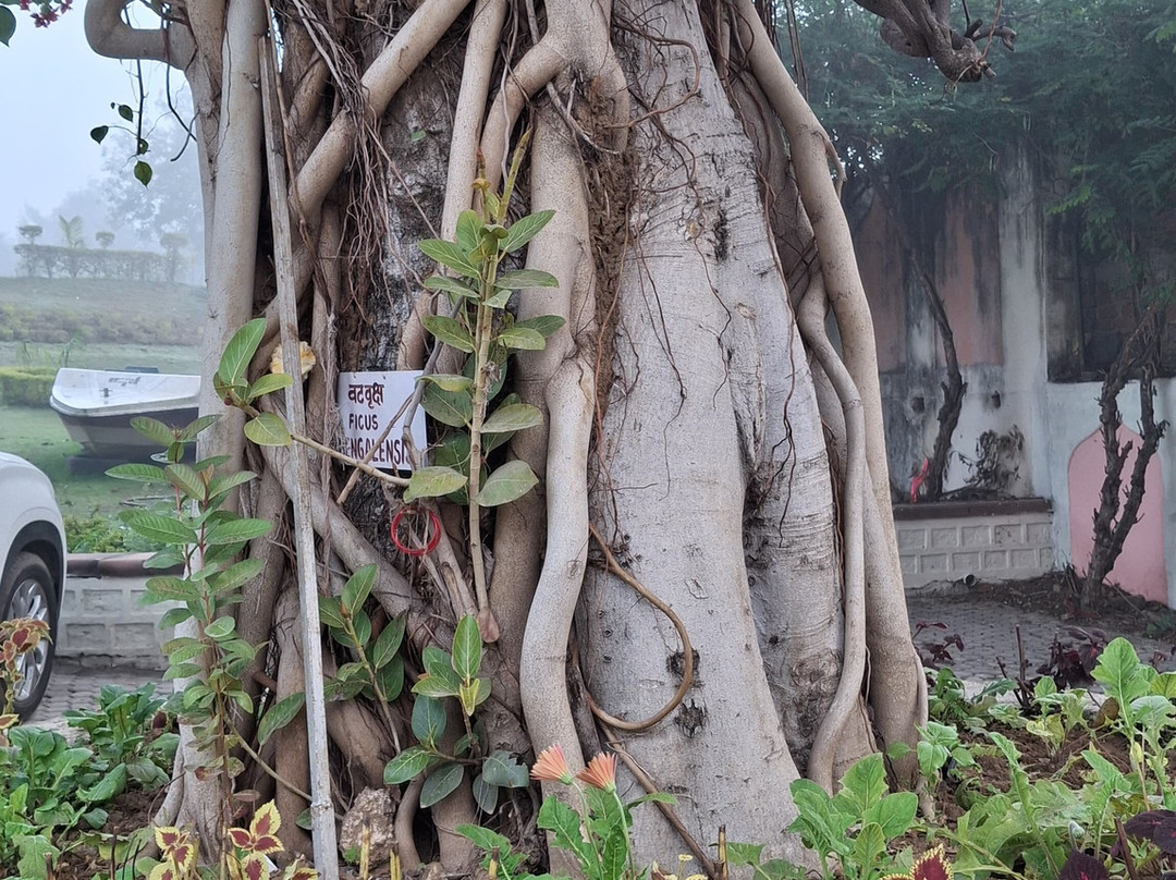 MPT Betwa Retreat主图