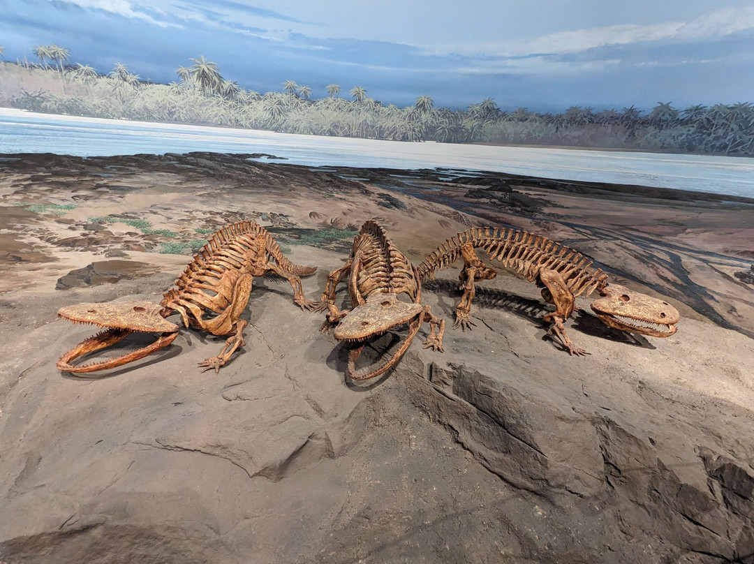 Mountain America Museum of Ancient Life景点图片