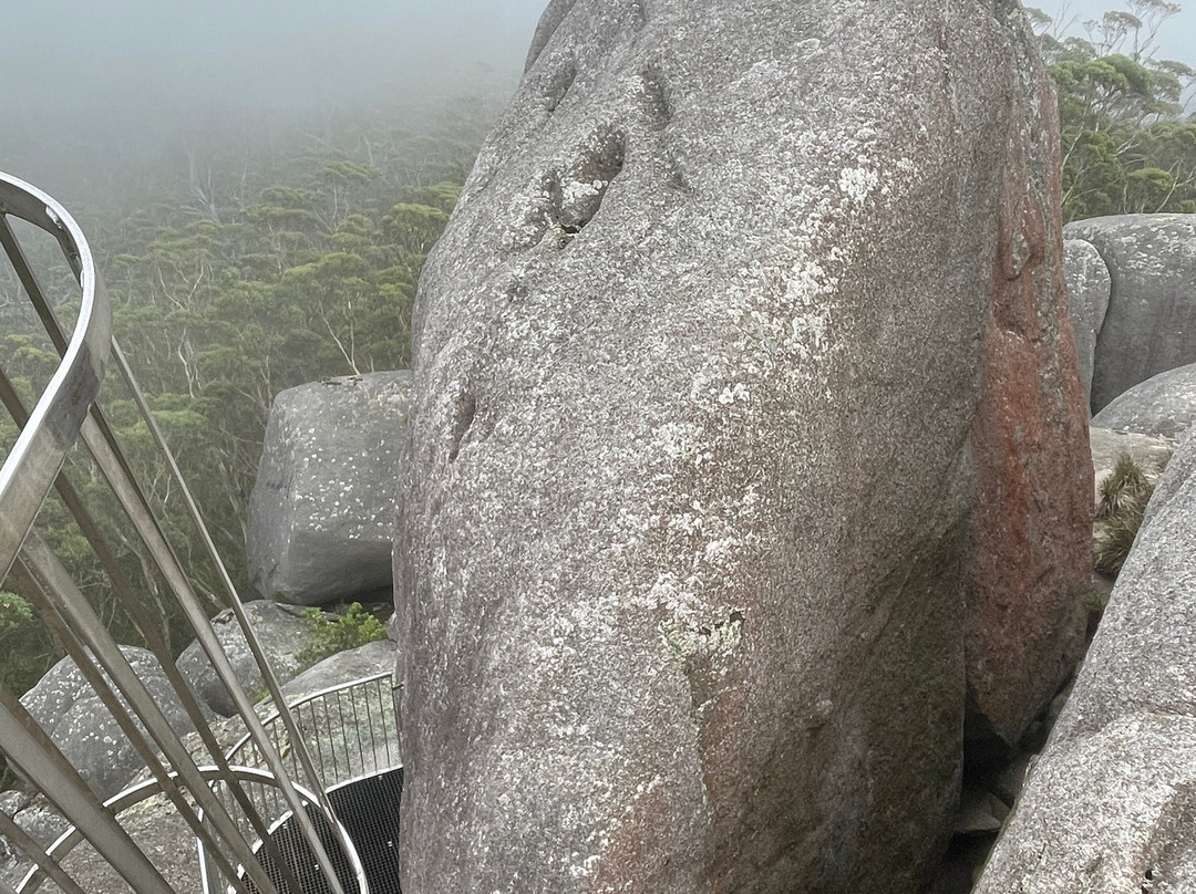 Granite Sky Walk-Porongurup National Park必去景点