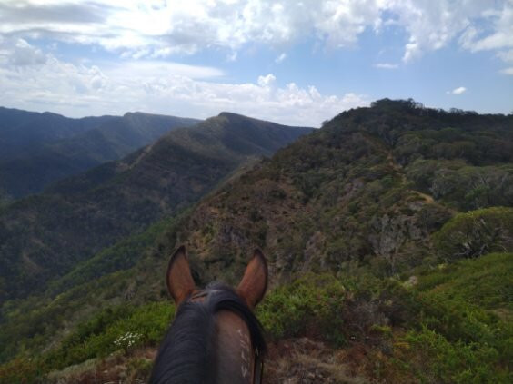 Buckle Up Bushrides-Merrijig必去景点
