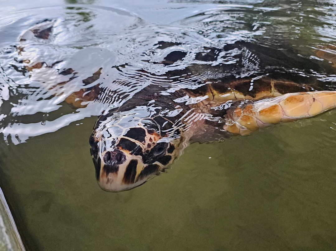 Thanu-Warakapola必去景点