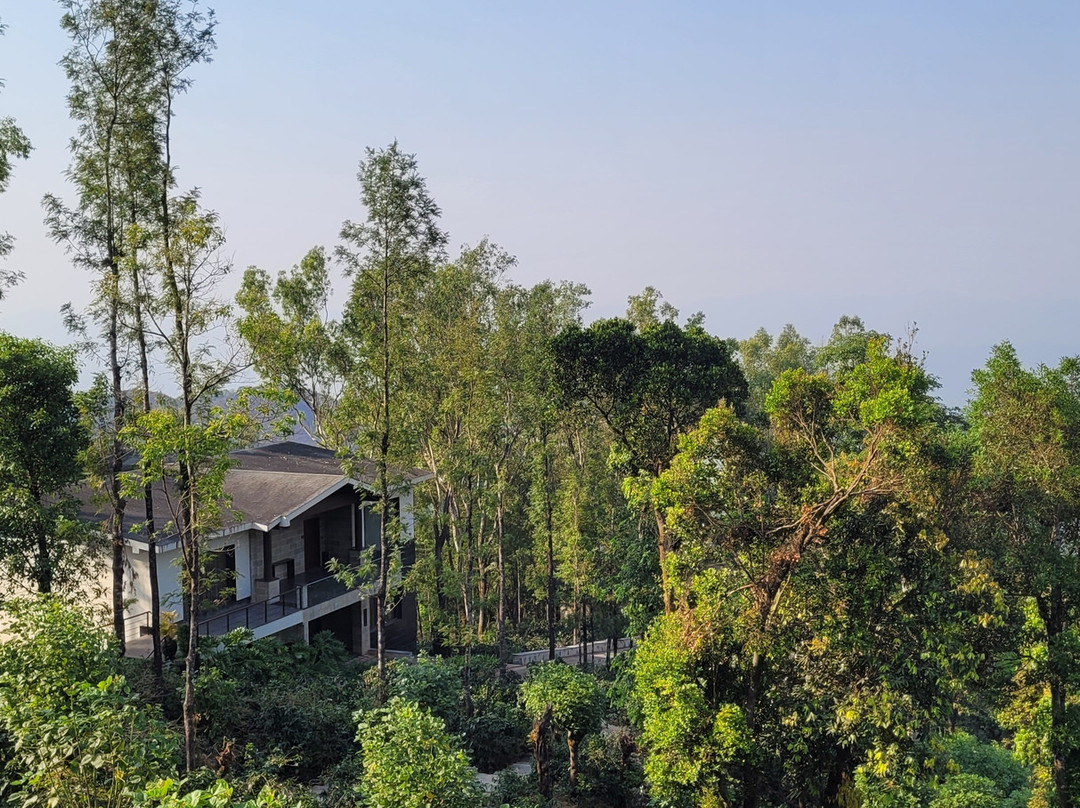 Trivik Hotels & Resorts主图