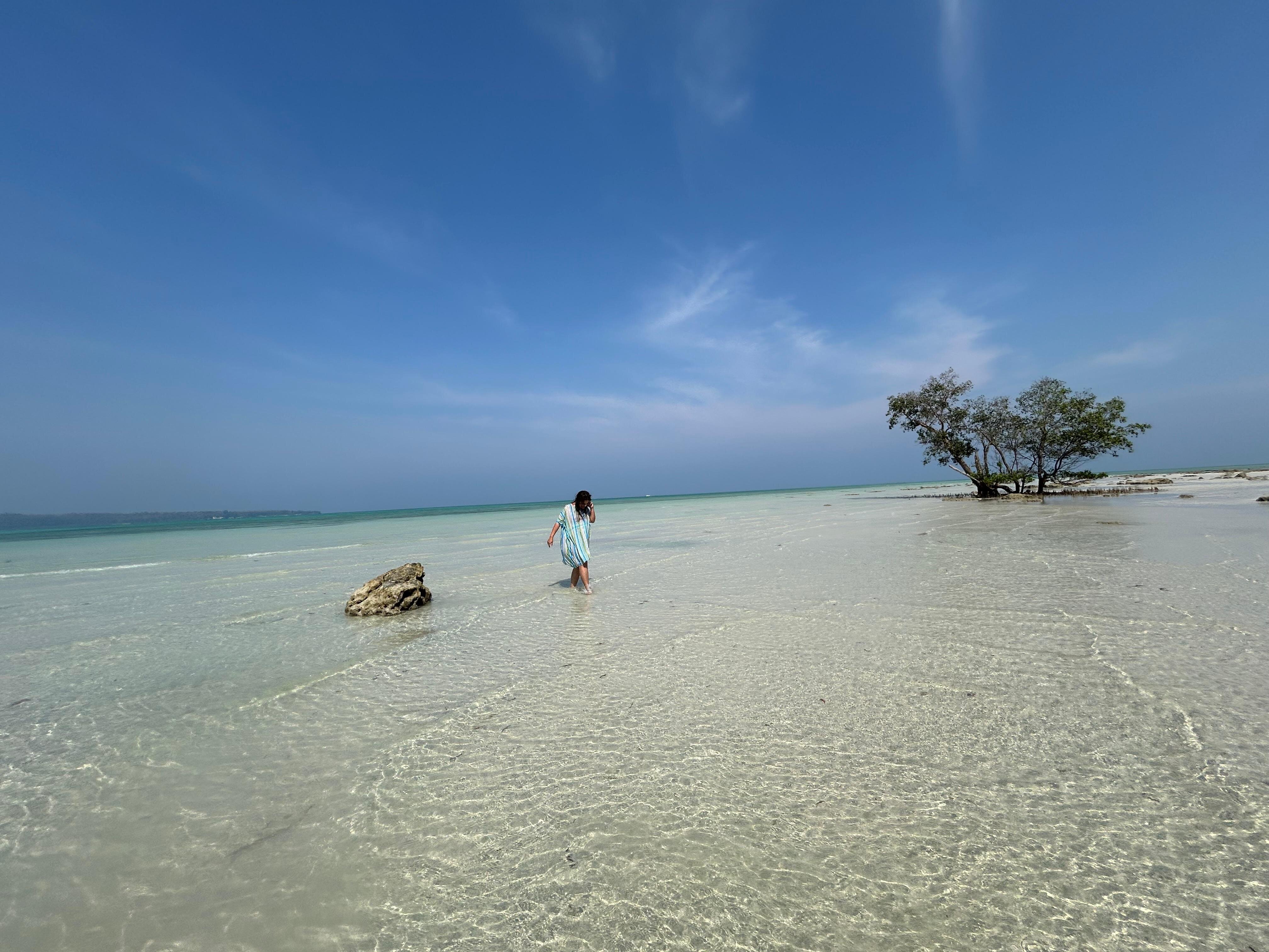 Dolphin Resort-官方