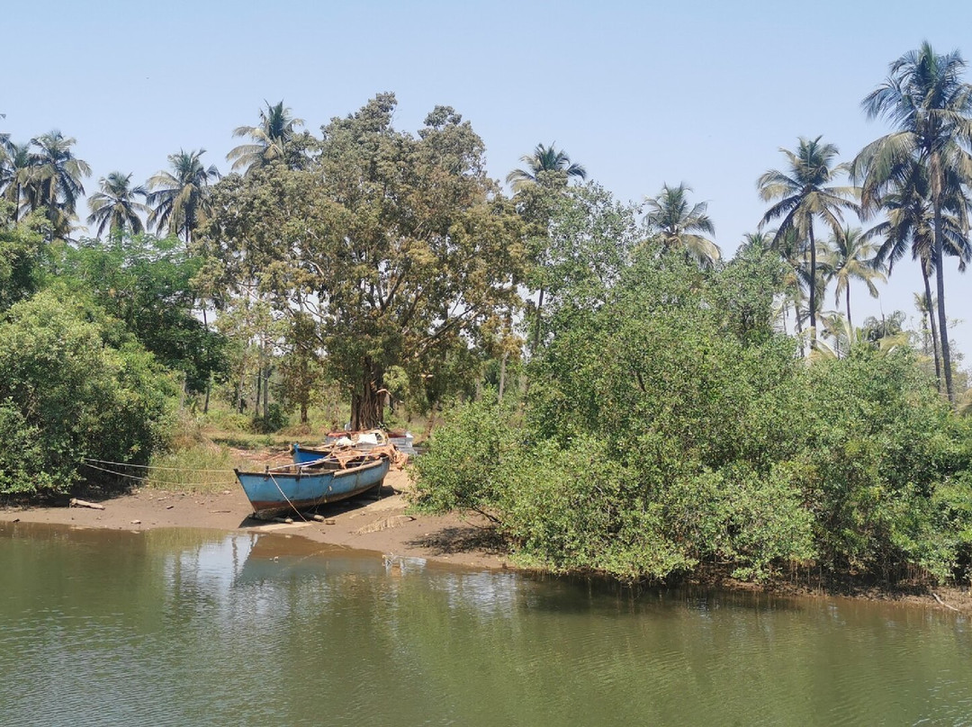 John's Boat Tours - Day Tours-坎多林必去景点