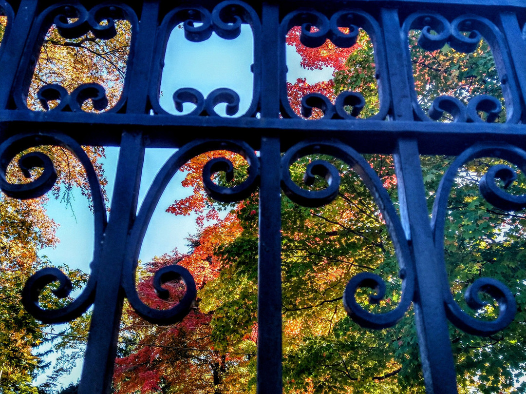 Woodlawn Cemetery-布朗克斯必去景点