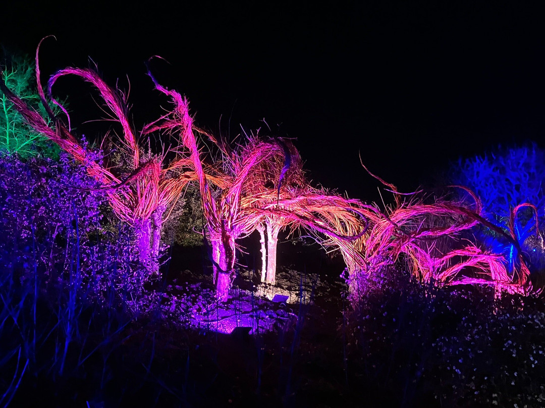RHS Garden Hyde Hall景点图片