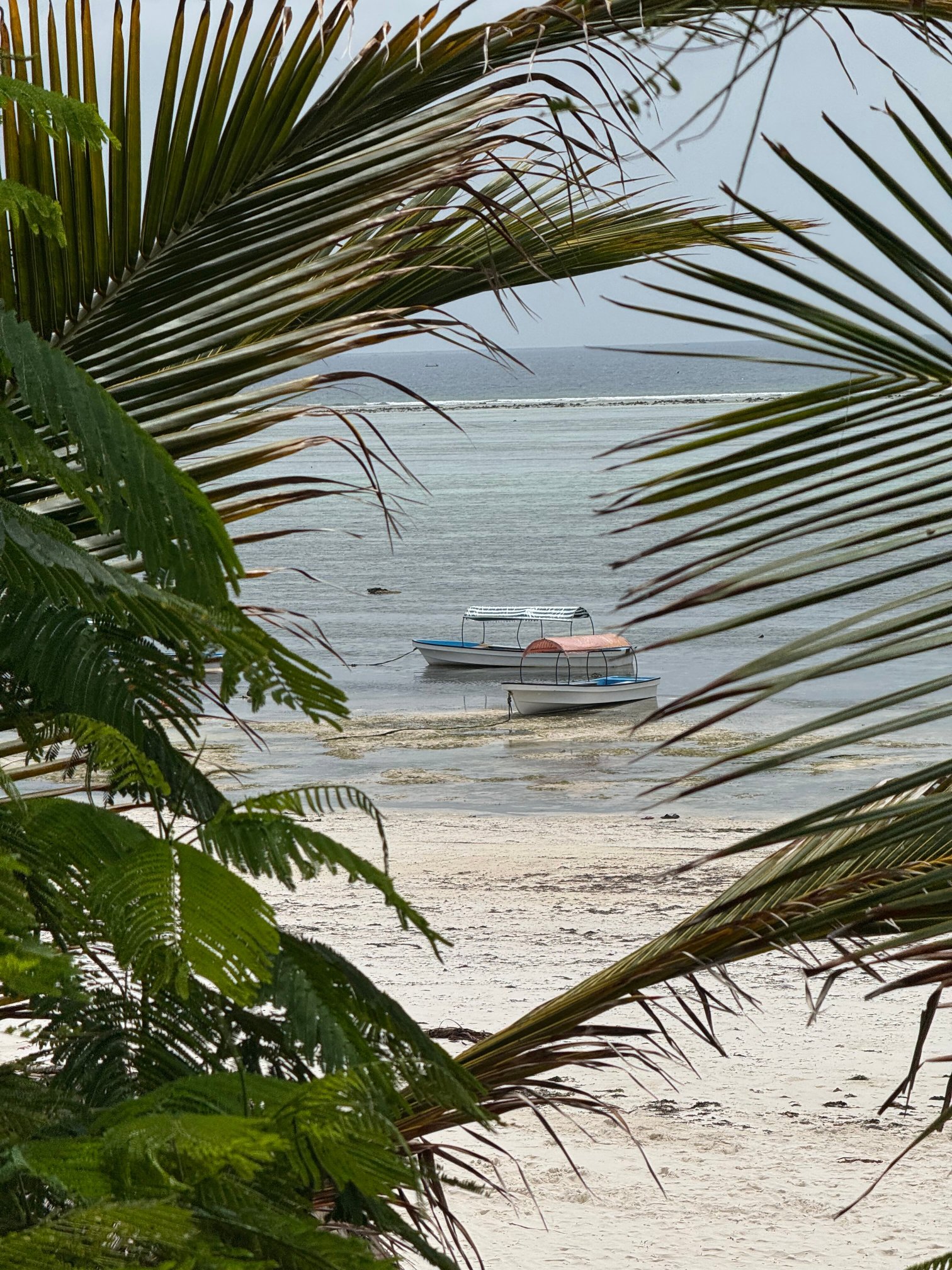 Mambo Paradise-酒店景观