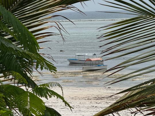 Mambo Paradise主图