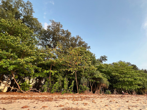 Naiyang Beach Hotel主图
