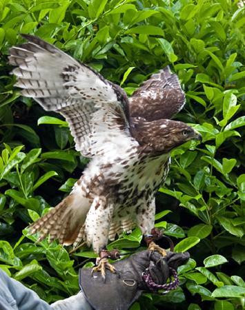 Cheviot View Bed and Breakfast主图