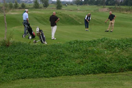 De Vlietlanden主图