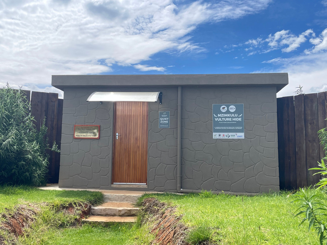 Mzimkulu Vulture Hide