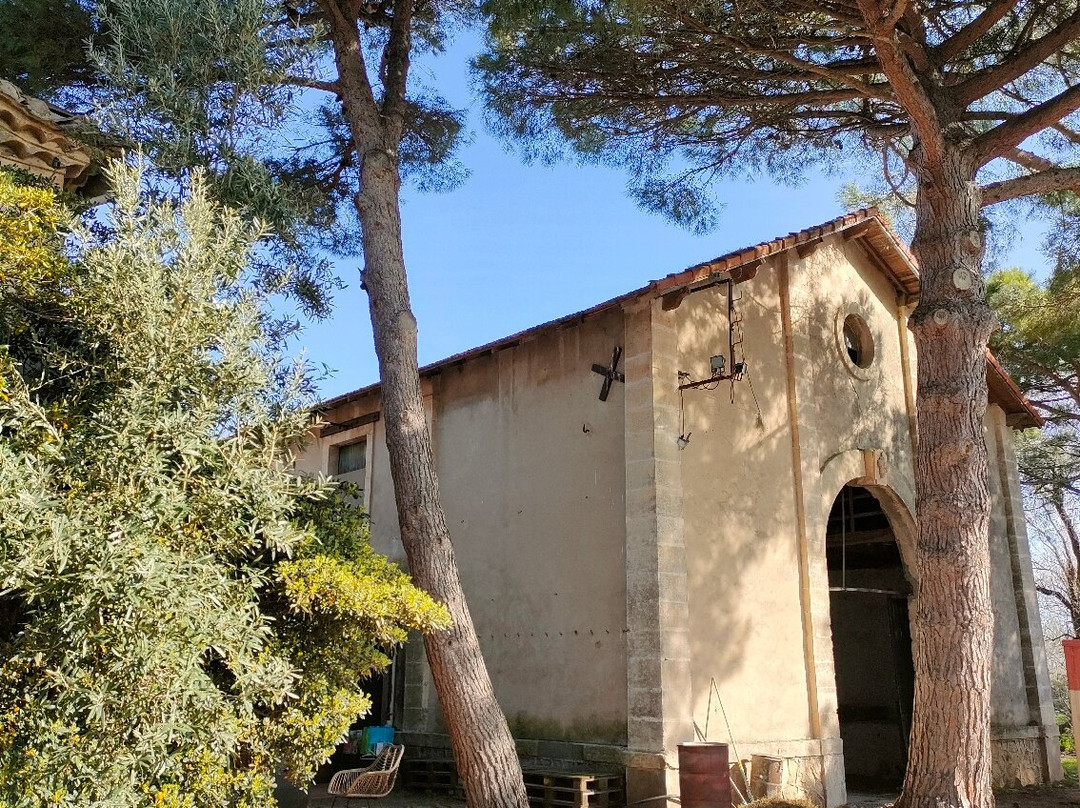 Domaine de Maguelonne-滨海圣玛丽必去景点