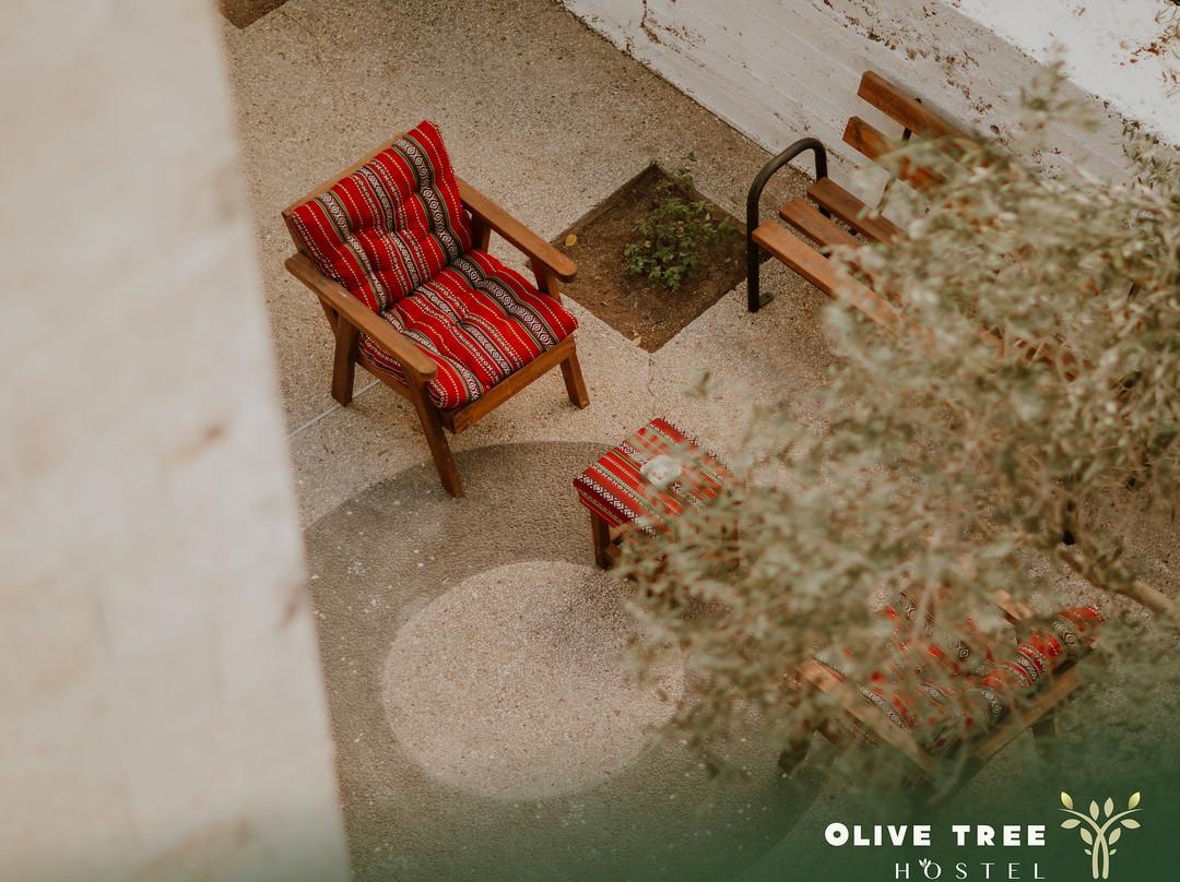 Olive Tree Hostel