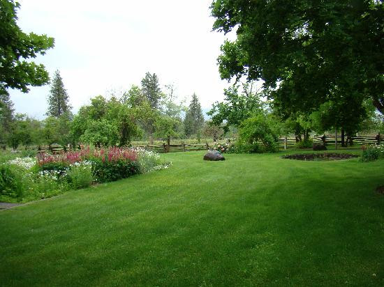 Clear Creek Farm主图