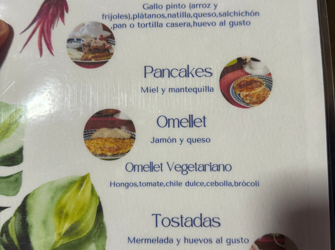 Nafre House B&B Monteverde主图