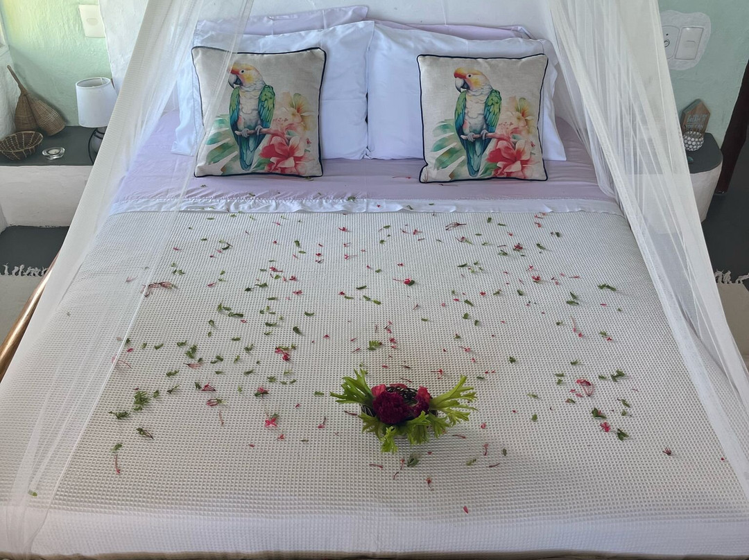 Eco-Pousada Casa Bobo主图