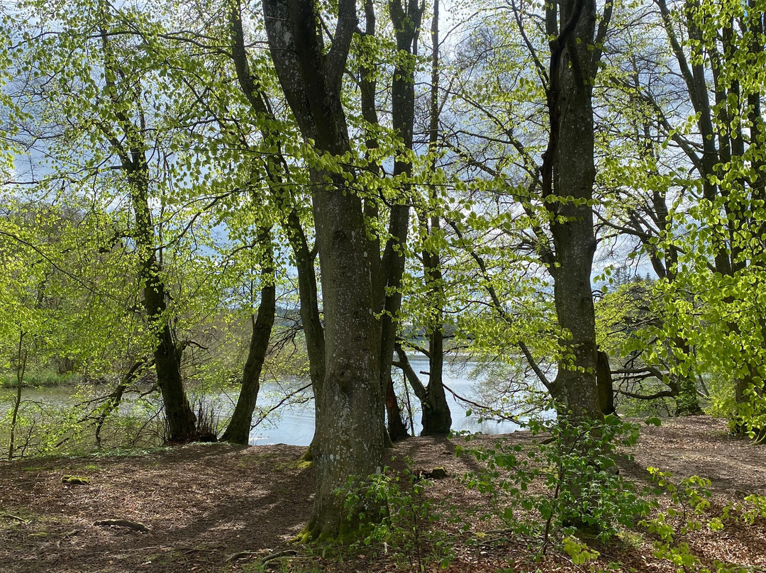 Naturstien Horsens Silkeborg景点图片