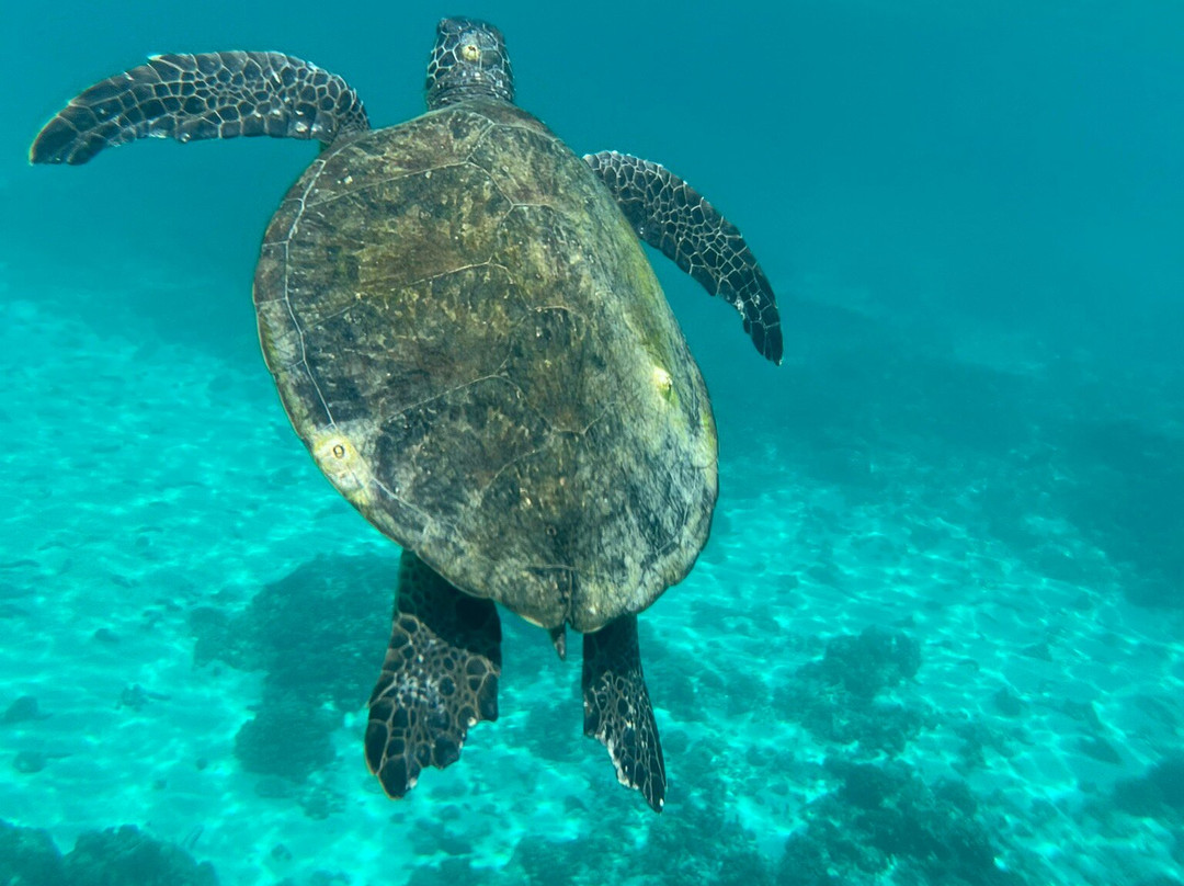 Oman Sail-Ruwi必去景点