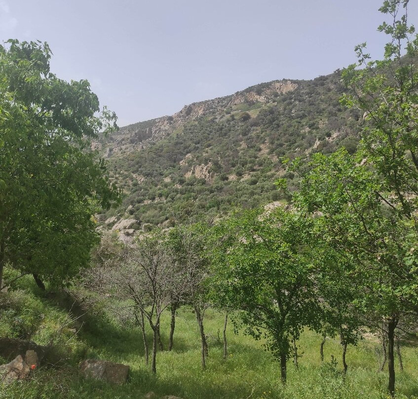 Gorges de la Guillera景点图片
