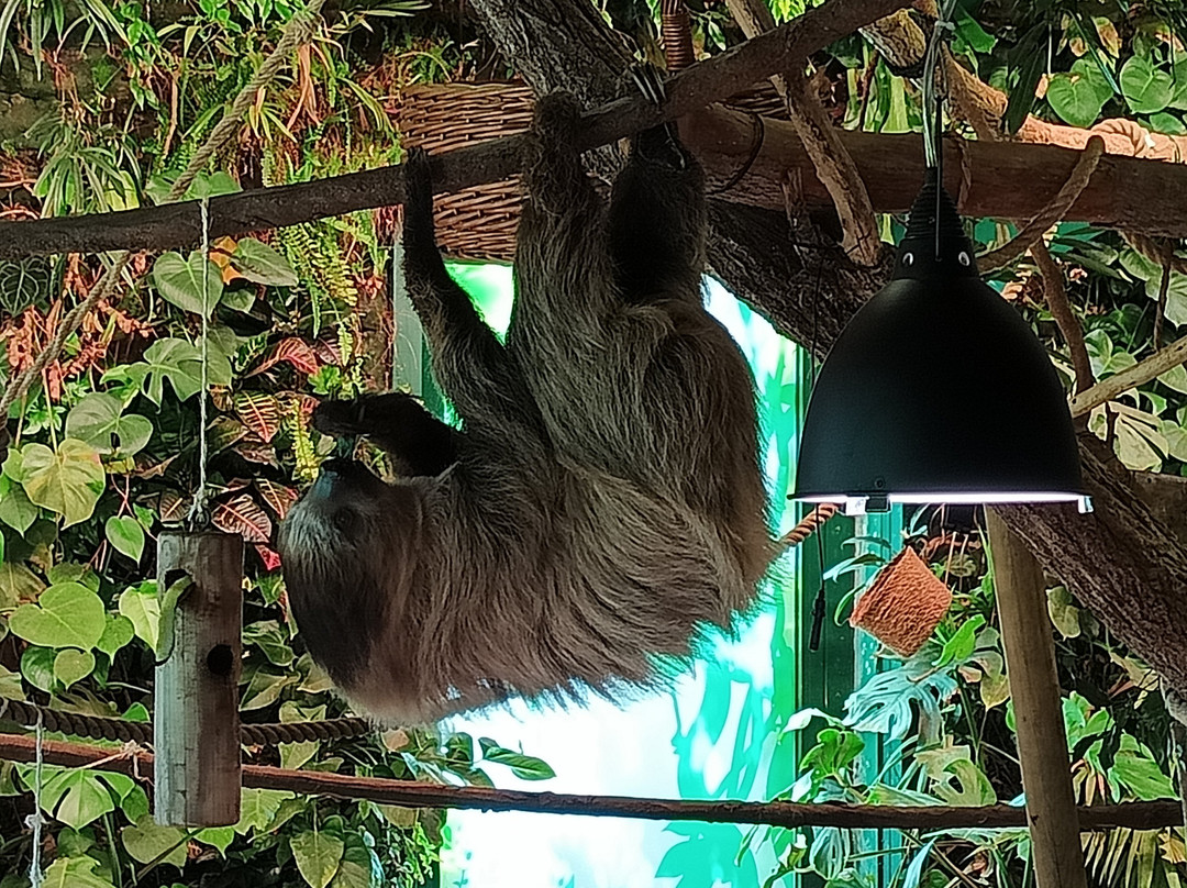 Parco Zoo Punta Verde景点图片