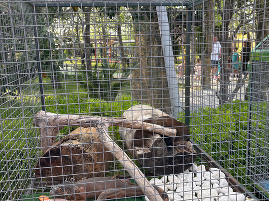 Discovery Park-Ilica必去景点