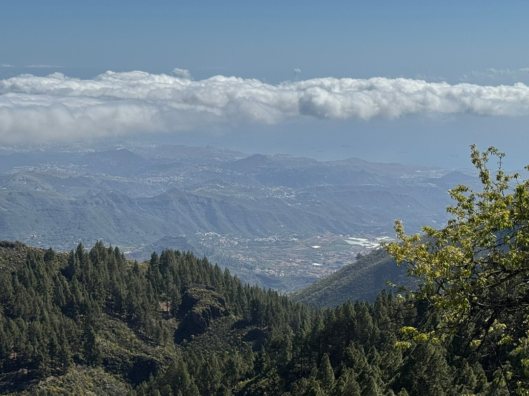 Pico De Las Nieves景点图片