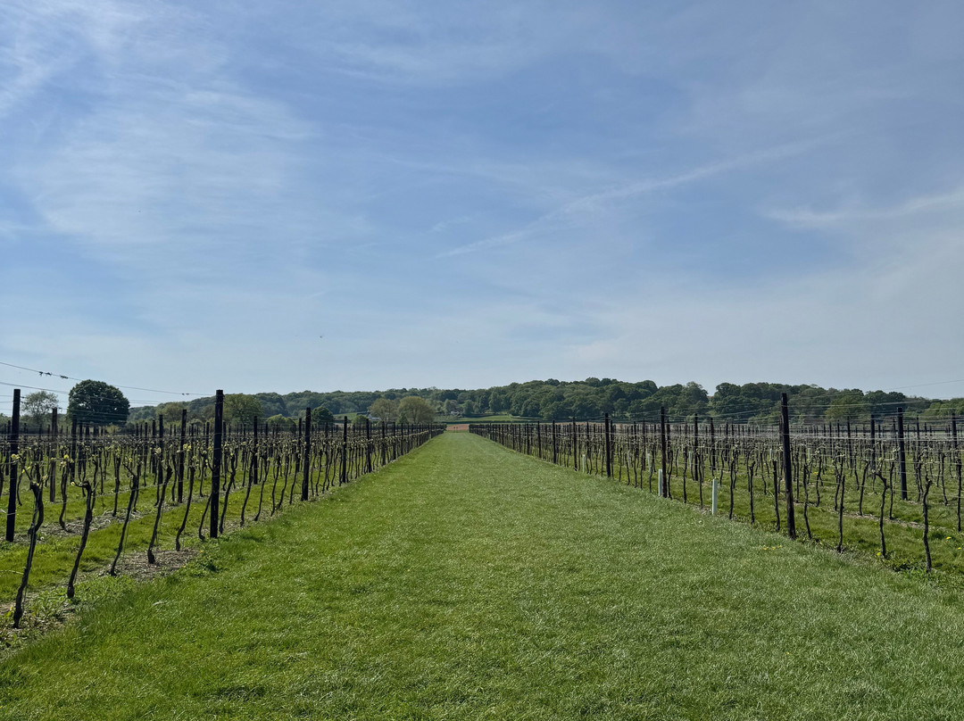Balfour Winery景点图片