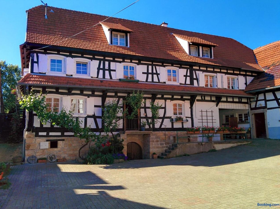 Drachenbronn-Birlenbach旅游攻略图片