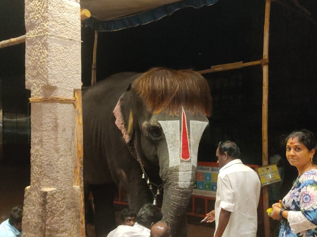 Rajagopalaswamy Temple-Mannargudi必去景点