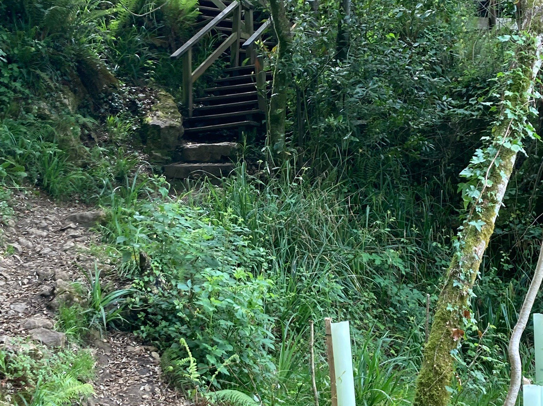 Senda Fluvial del Nansa-Munorrodero必去景点