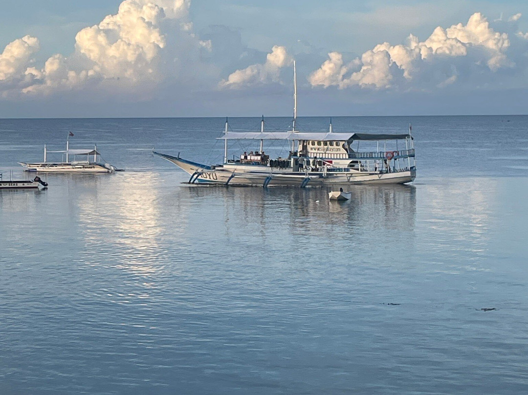 Easy Diving and Beach Resort主图