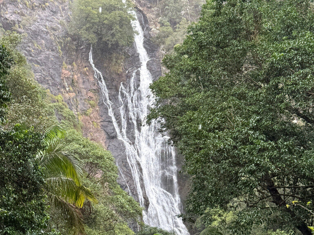 Kondalilla Falls-蒙特维尔必去景点