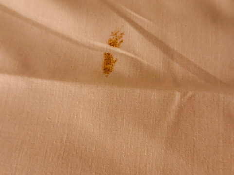 康帕斯集团哈利法克斯白天鹅酒店主图