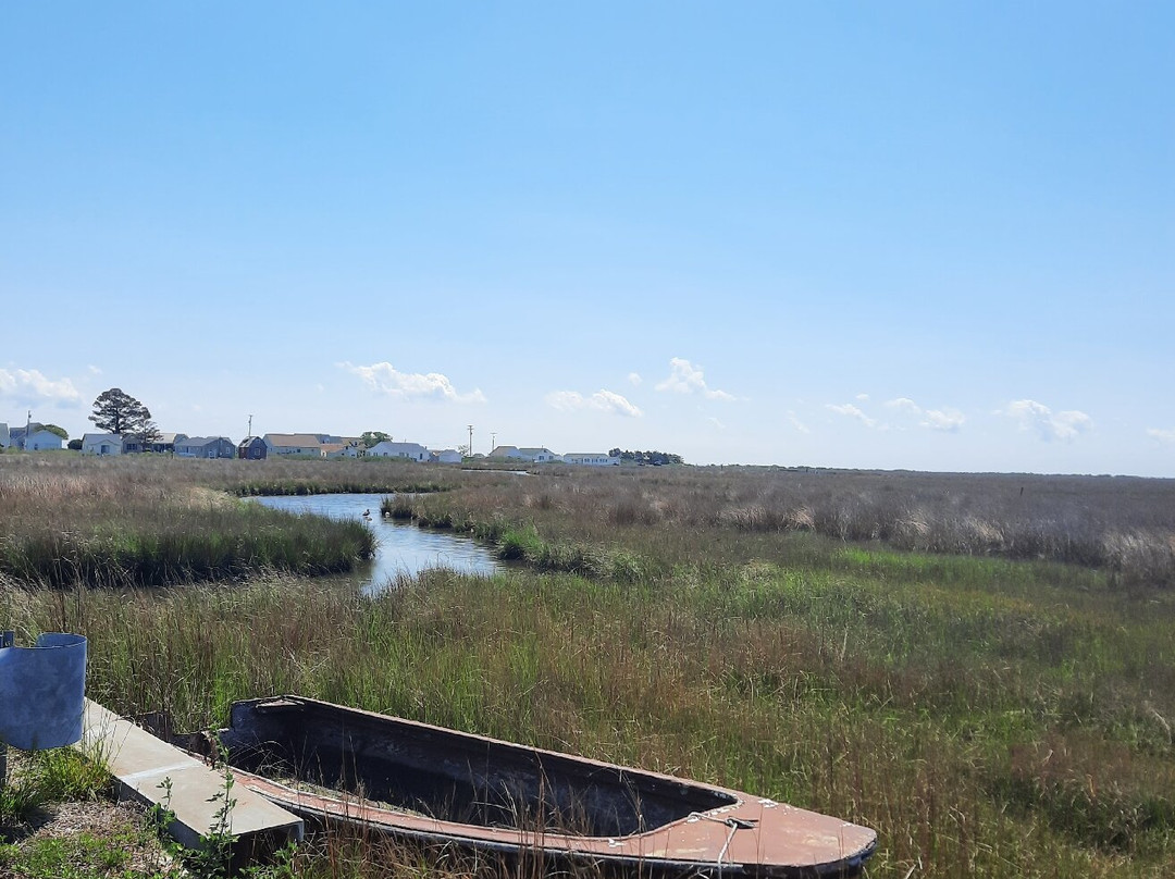 Magical Mystery Bike Tours, LLC-罗阿诺克必去景点